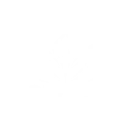 Trường Cao Đẳng Kỹ Thuật Công Nghệ - Bách Khoa